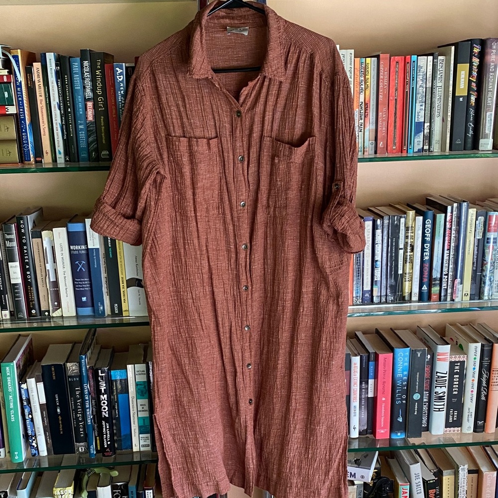 Rust Button-Up Shirt Dress